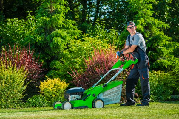 Yard Work Service in Westminster
