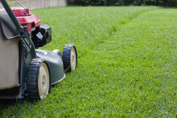 Residential Lawn Care in Westminster