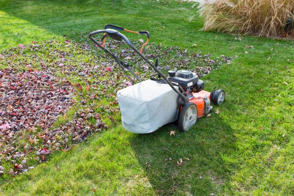 Seasonal Lawn Care in Westminster