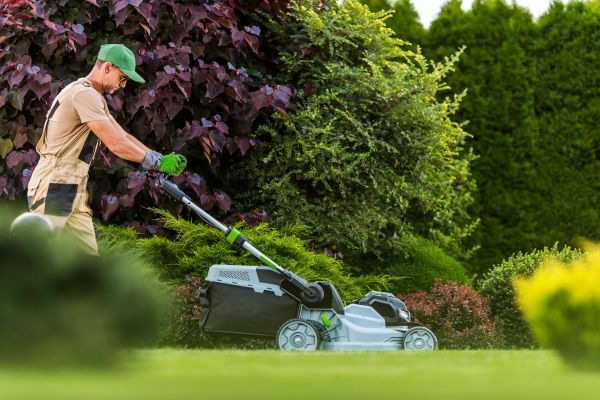 Lawn Management in Westminster
