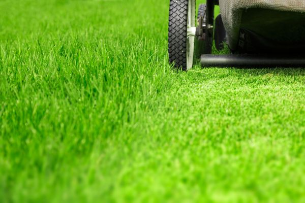 Weekly Lawn Care in Westminster