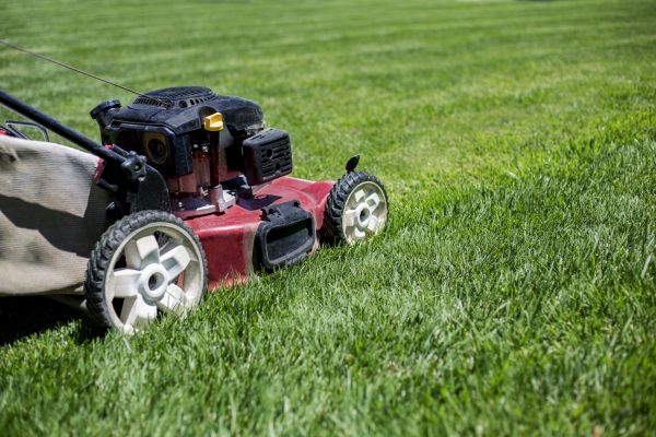 Routine Lawn Care in Westminster