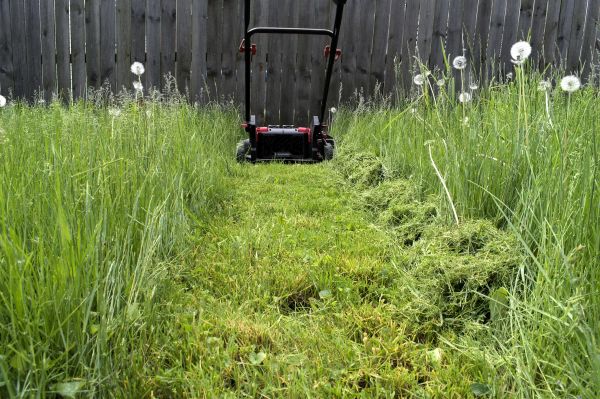 Cost of High Grass Mowing in Westminster