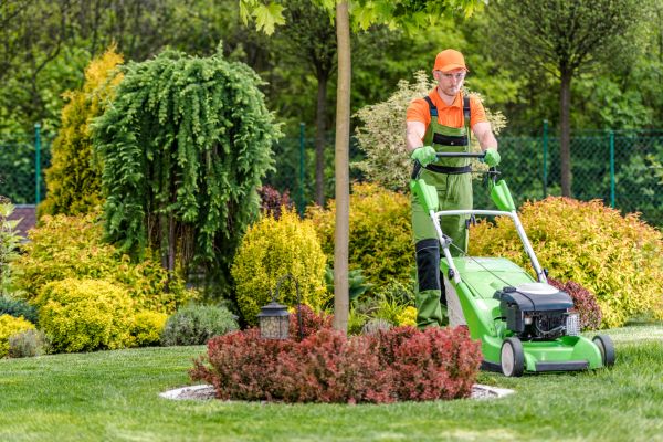 Commercial Yard Maintenance in Westminster