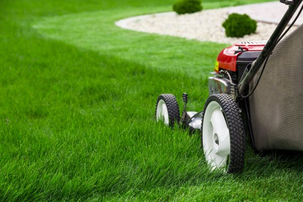 Lawn Trimming in Westminster
