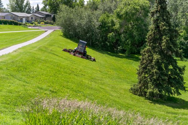 Hill Mowing in Westminster
