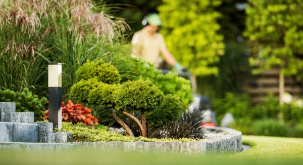 Cost of Residential Yard Maintenance in Westminster