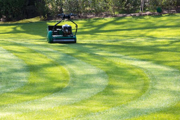 Business Lawn Mowing in Westminster