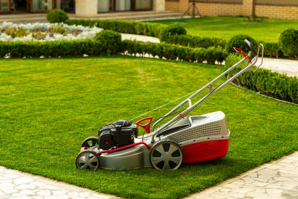 Business Grass Cutting in Westminster