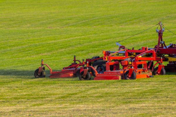 Industrial Lawn Service in Westminster