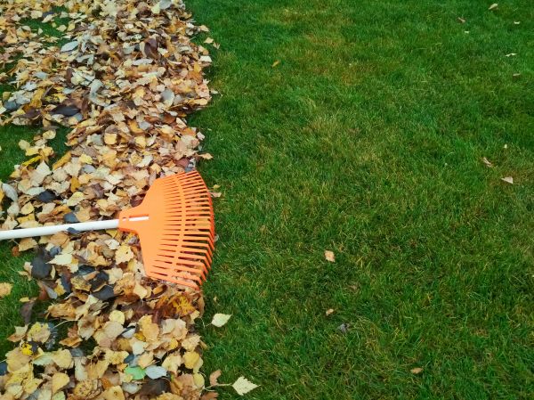 Fall Lawn Care in Westminster