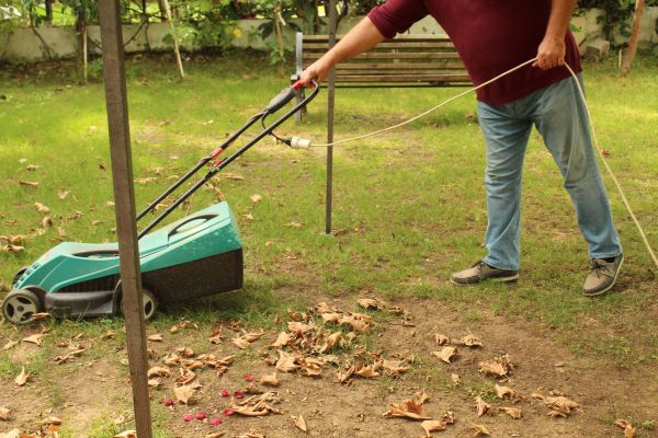 Cost of Leaves Mowing in Westminster
