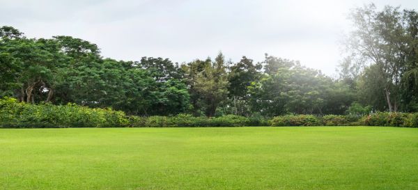Golf Course Mowing in Westminster