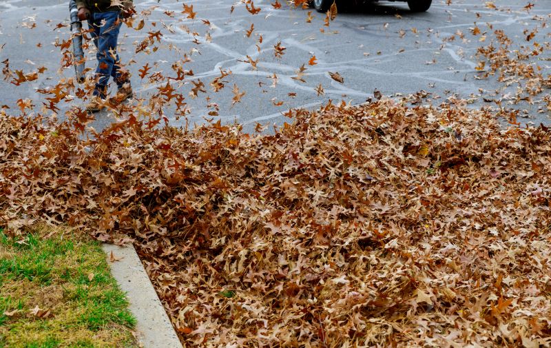 Fall Leaf Cleanup in Action